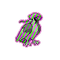 Exotic Pidgeot